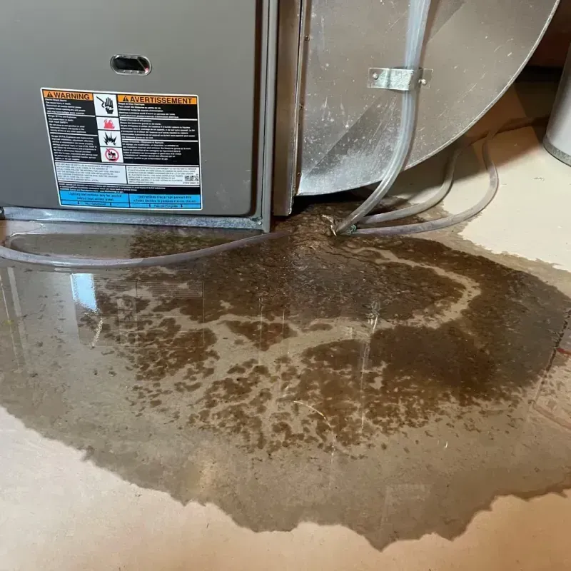 Appliance Leak Cleanup in Fish Hawk, FL